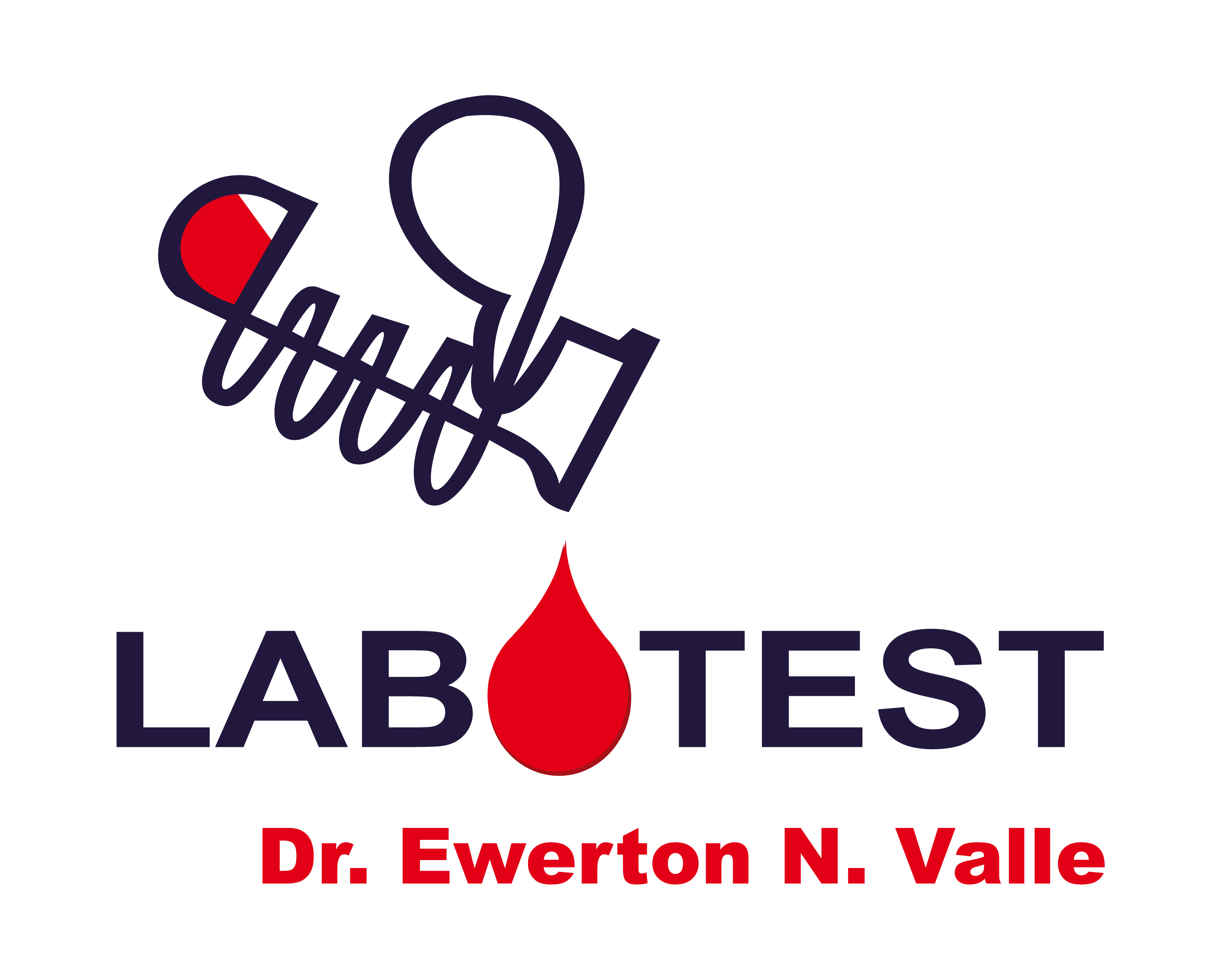 Labotest - Dr. Ewerton N. Valle